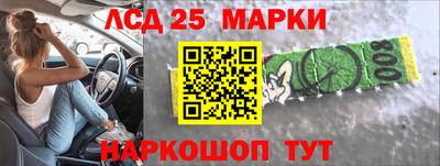 крисы Гатчина