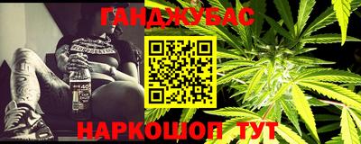крисы Гатчина