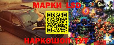 крисы Гатчина