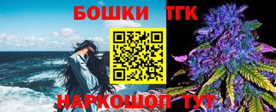 ешки Гай