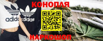 ешки Гай