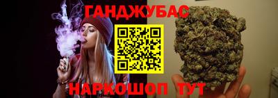 крисы Гатчина