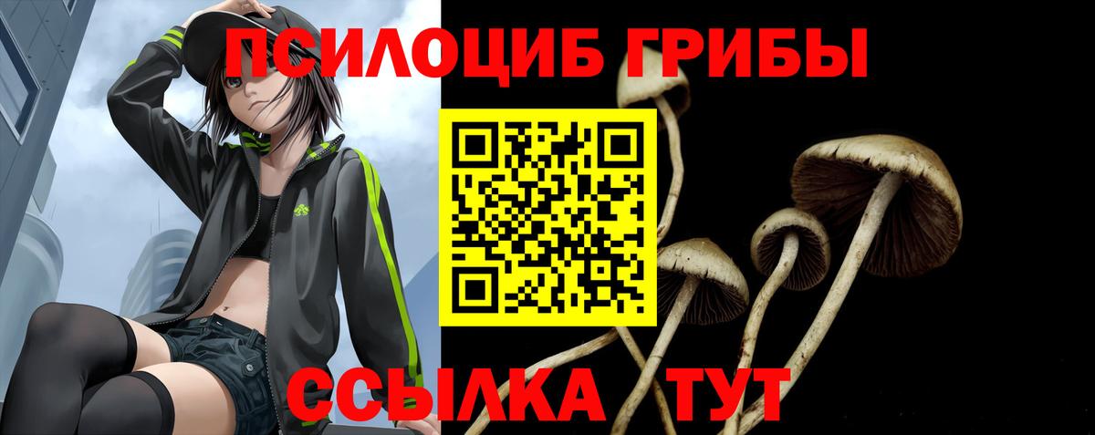 Псилоцибиновые грибы Magic Shrooms  хочу наркоту  Наро-Фоминск  Вход с VPN 